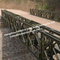 Enig de Bundelbrug van het Steegstaal Delta het Overbruggen de Ladingsvermogen van de Oplossings Volledig Weg leverancier